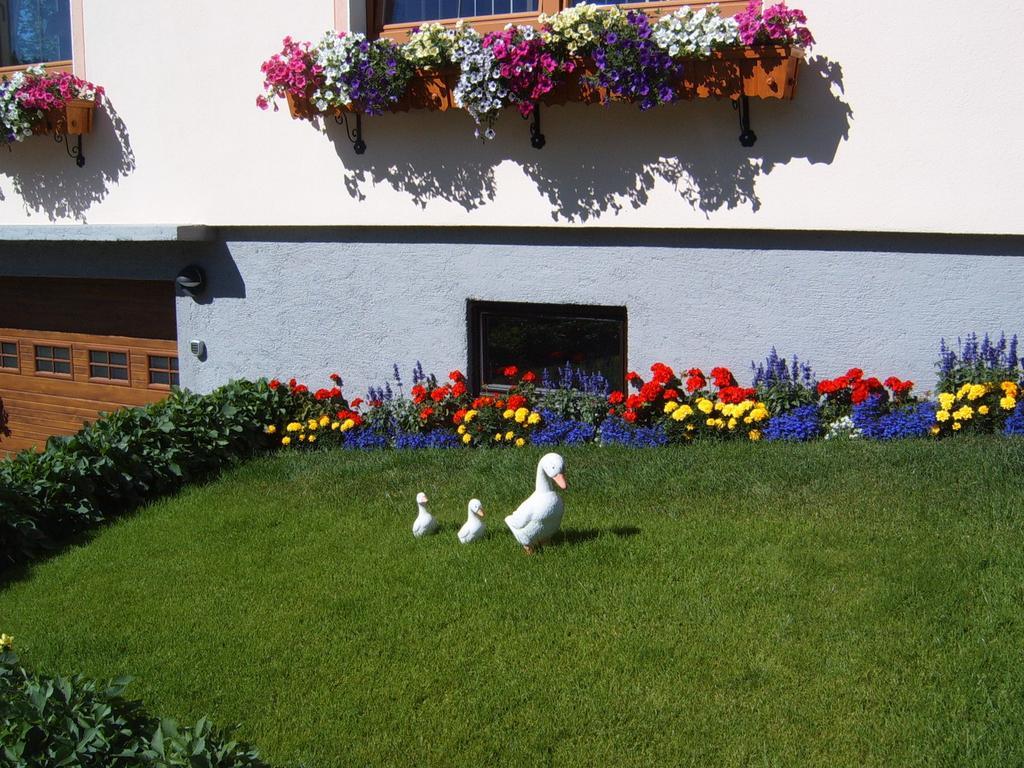 Pension Felsenheim Ramsau am Dachstein Exterior photo