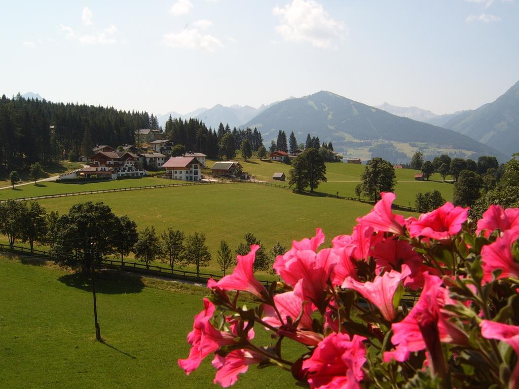 Pension Felsenheim Ramsau am Dachstein Room photo