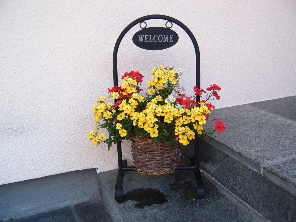 Pension Felsenheim Ramsau am Dachstein Exterior photo